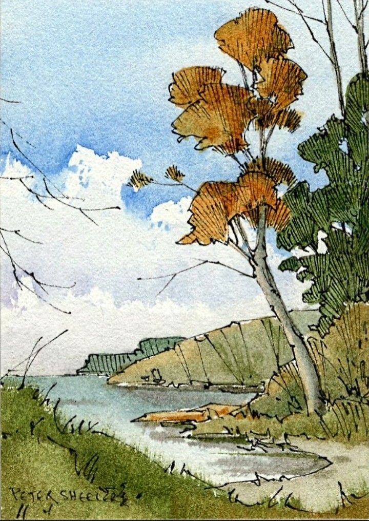 a watercolor painting of a tree near the shore with clouds in the sky behind it