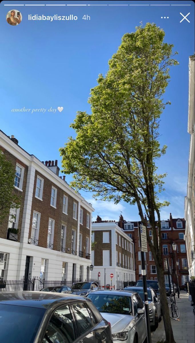 cars parked on the side of a street next to tall buildings and a green tree