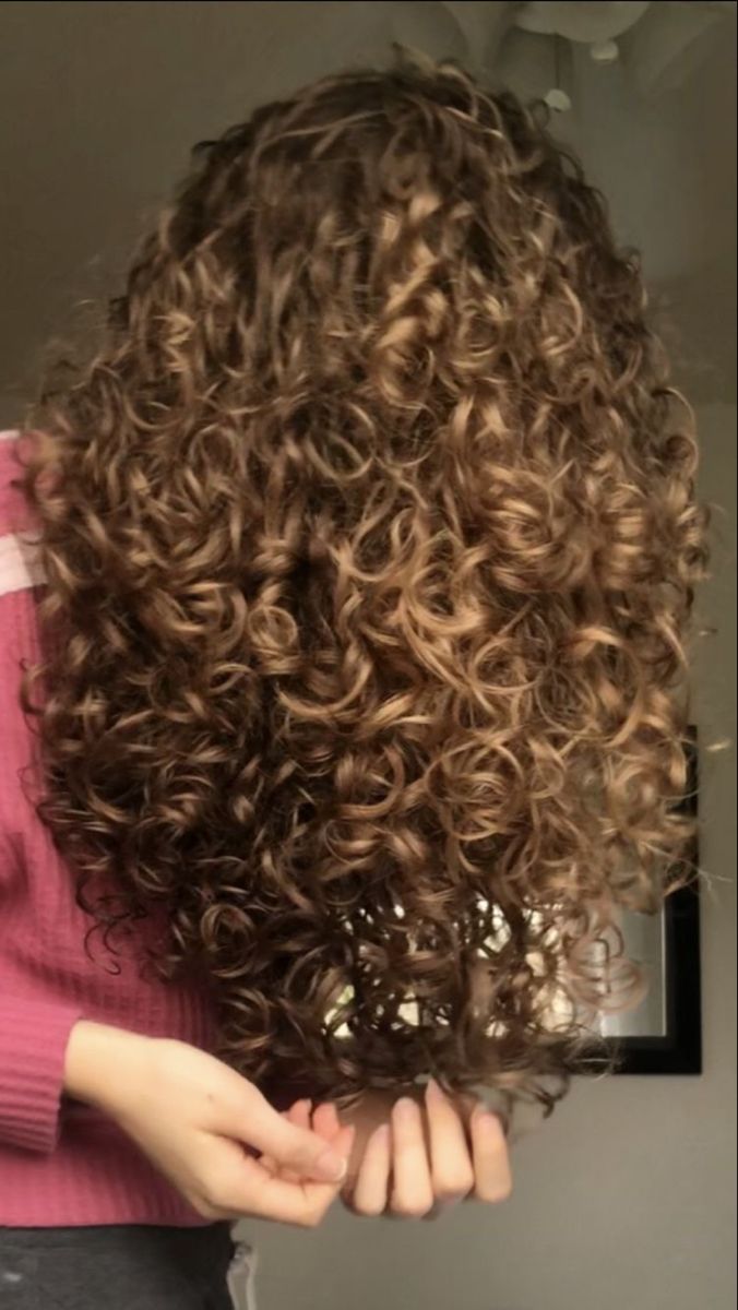 Light Brunette Hair Curly, Skunk Hair On Wavy Hair, Caramel Hair Curly, Caramel Curly Hair, 1c Hair, Curly Dyed Hair, Curly Curly Hair, Loose Curly Hair, Highlights Curly Hair