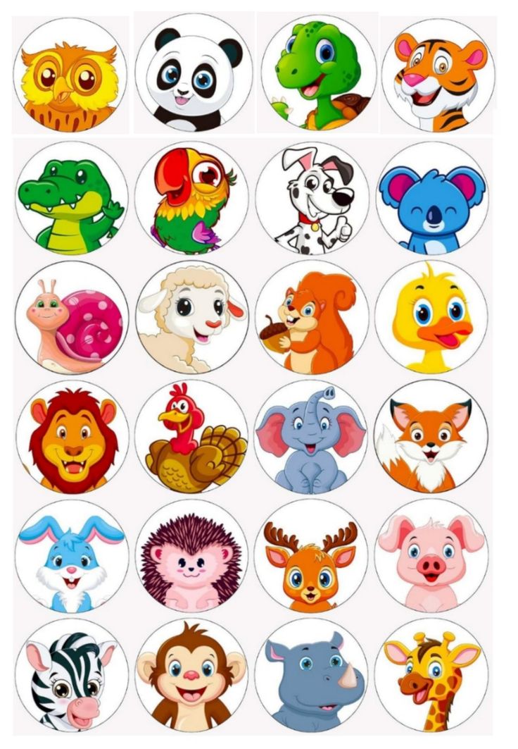 an animal sticker sheet with many different animals