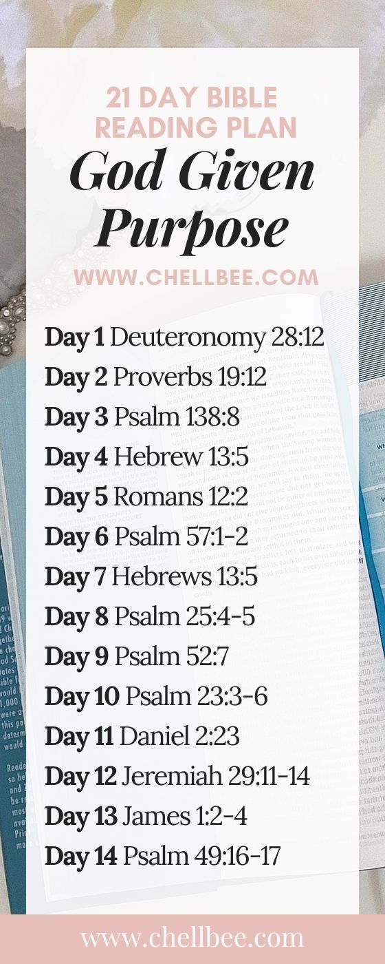 an open bible with the words, daily bible reading plan god's given purpose