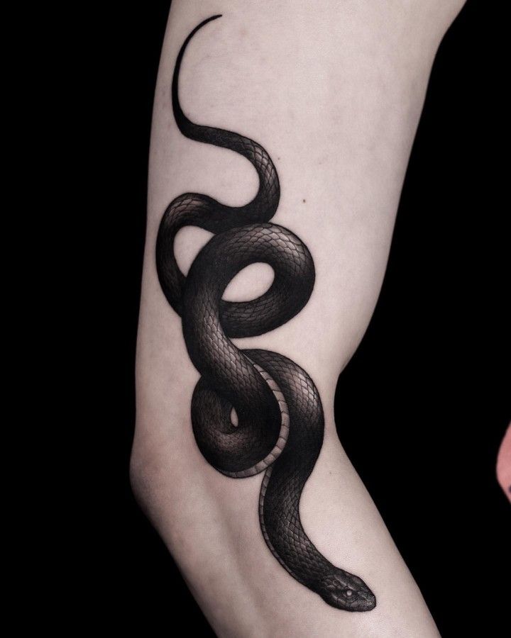 a black snake tattoo on the arm