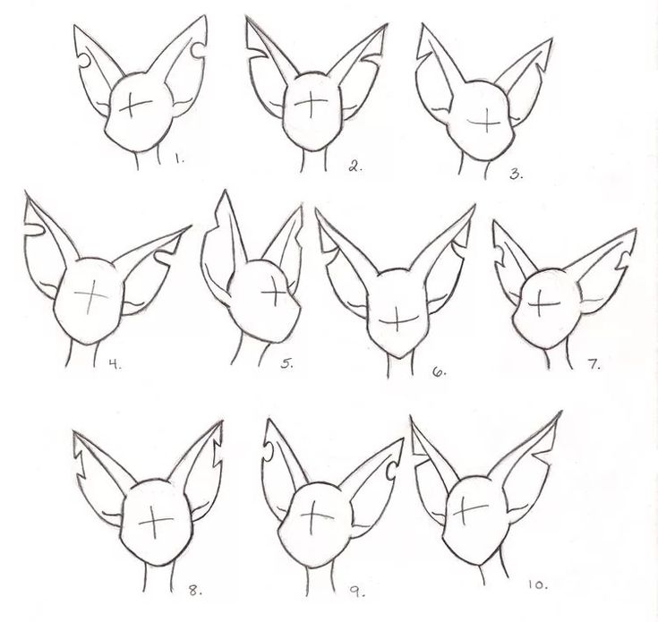 how to draw an animal's head with different angles and shapes, including the ears