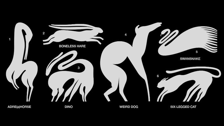 the silhouettes of different animals on a black background