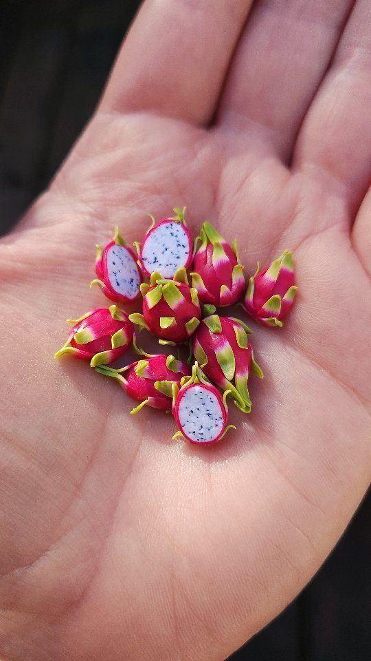 a hand is holding several small pieces of fruit in it's palm, which are pink and green