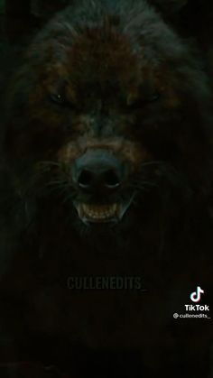 a black wolf with its mouth open in the dark