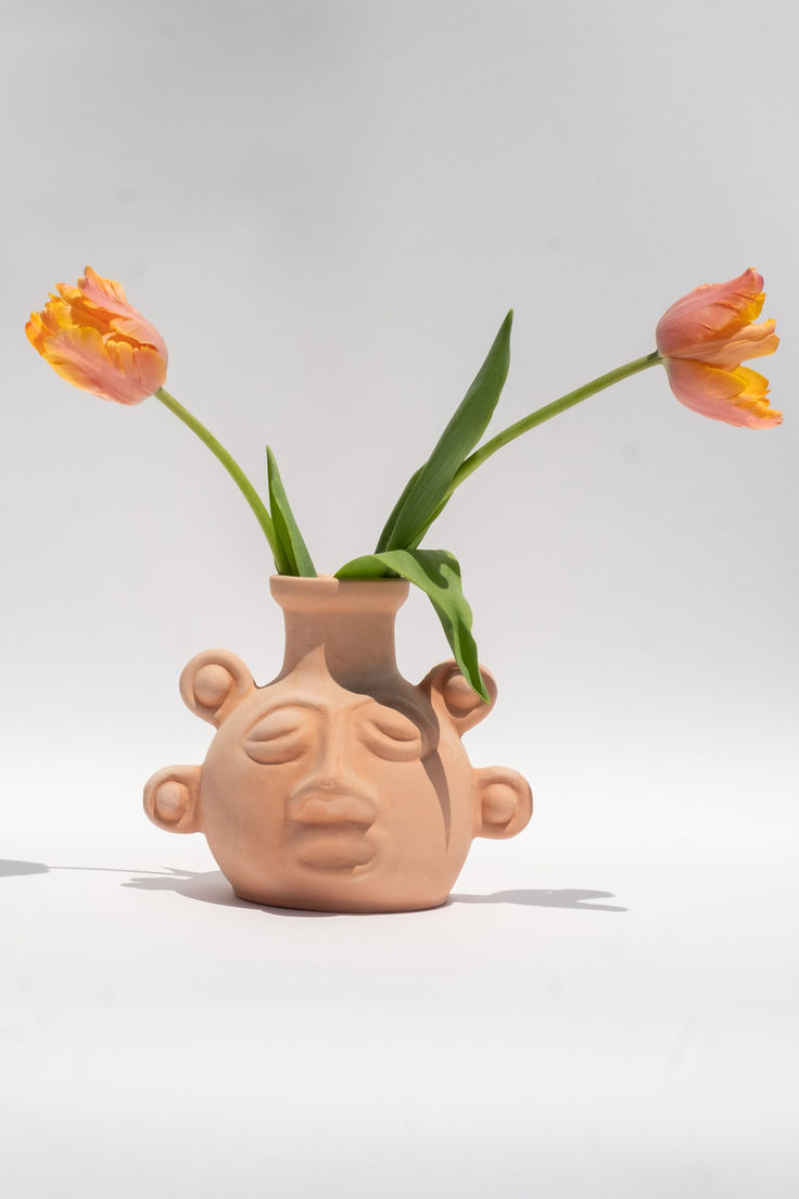 two pink flowers in a clay face vase