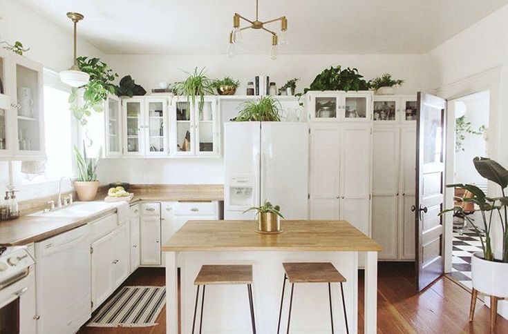 a kitchen with wooden floors and white cabinets, plants on the wall above the refrigerator