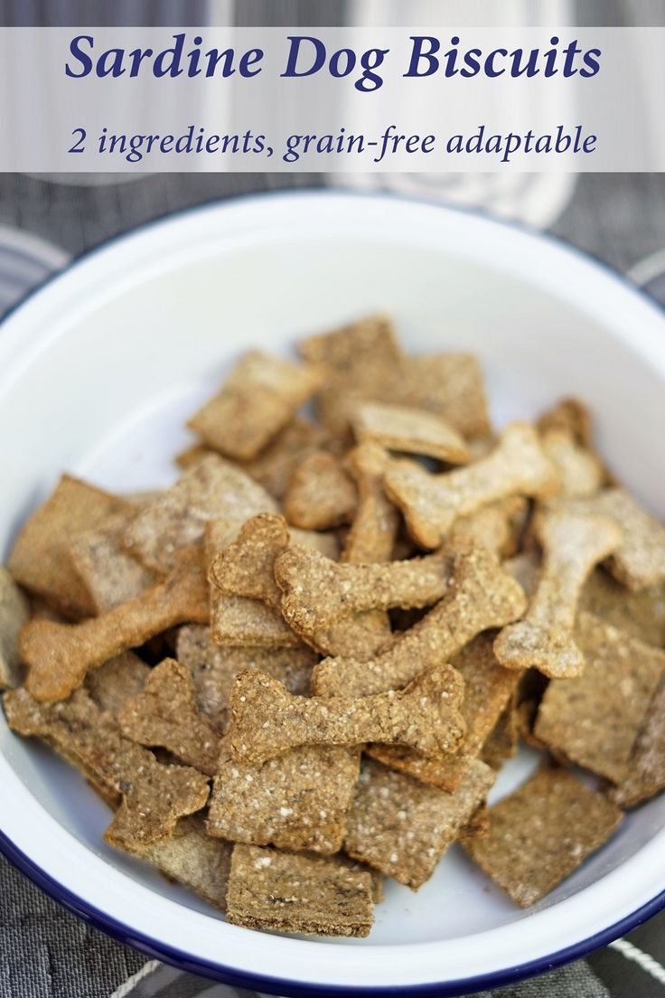 a bowl filled with dog biscuits on top of a table