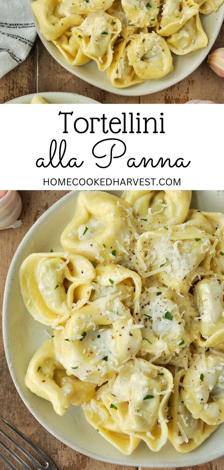 Plate of tortellini alla panna. Creamy Tortellini Alfredo, Tortellini Pasta Sauce Easy Recipes, 5 Ingredient Tortellini, Tortellini Olive Oil Sauce, Easy Recipes With Cheese Tortellini, Tortellini For One, Olive Oil Tortellini, Cheese Tortellini Recipes Olive Oil, Bacon Tortellini Recipes