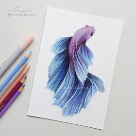 a drawing of a blue and purple fish next to colored pencils