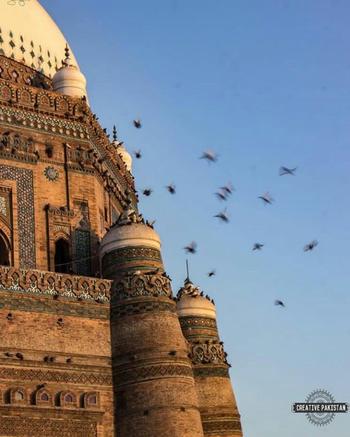 many birds are flying around the building