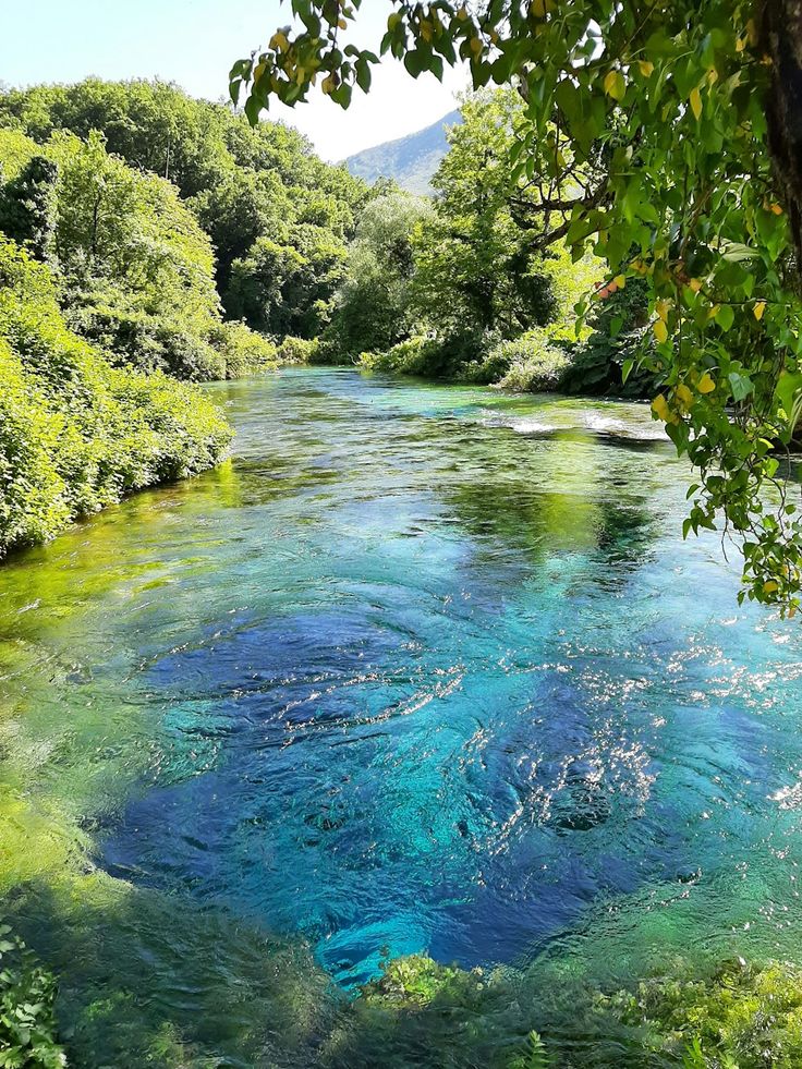 a river with blue water surrounded by trees and greenery in the foreground on a sunny day