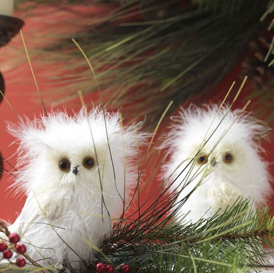 two small white owls sitting next to each other on a pine branch with red berries