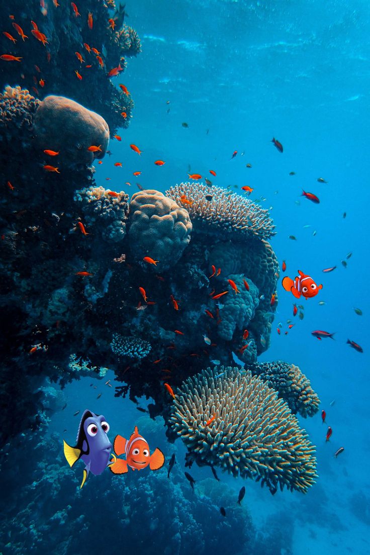 an underwater scene with fish and corals