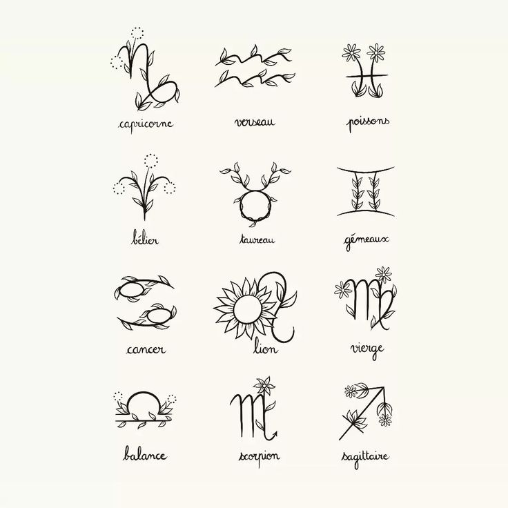 the zodiac signs and their meanings are drawn in black ink on a white paper background