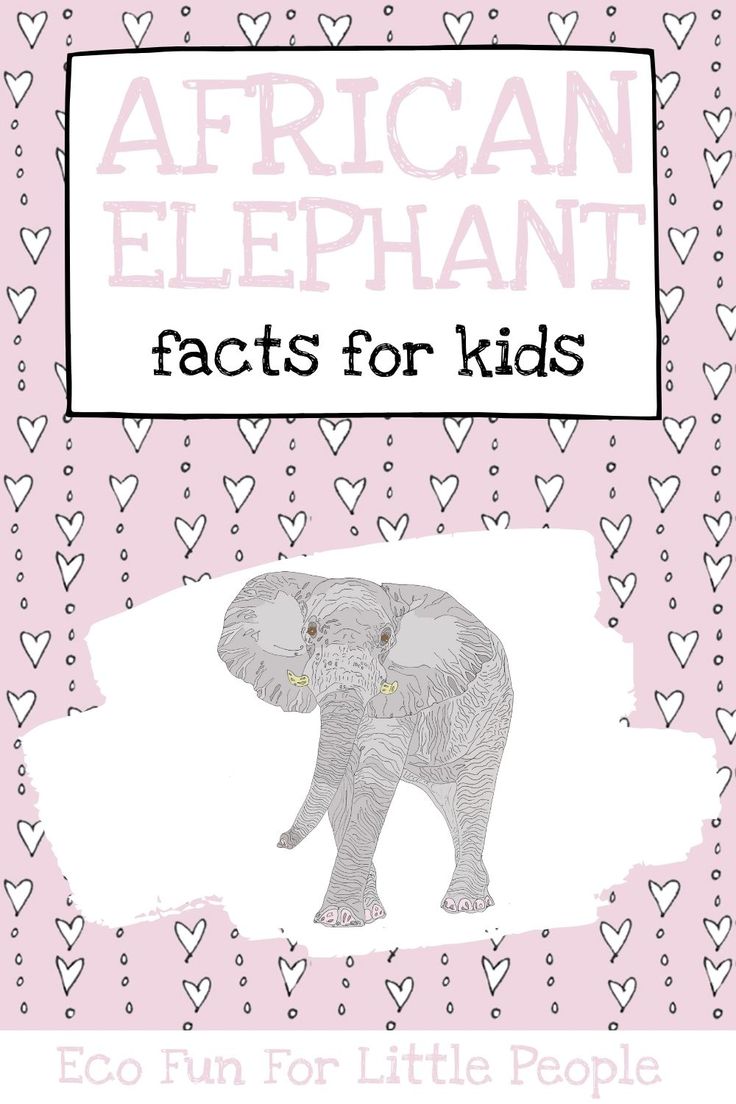 an elephant with hearts in the background and text that reads african elephant fact for kids