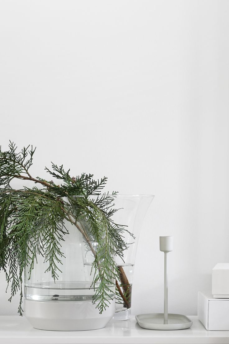 a plant in a glass vase on top of a white shelf next to a candle