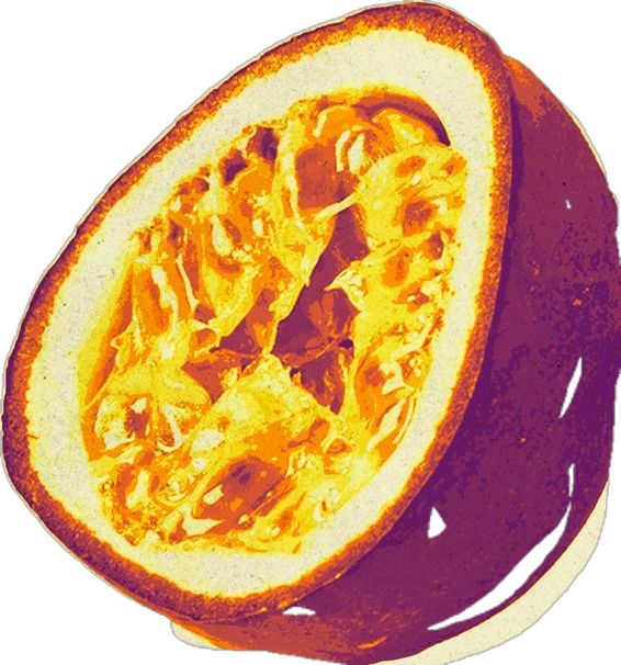 an orange cut in half sitting on top of a white plate with purple and yellow highlights