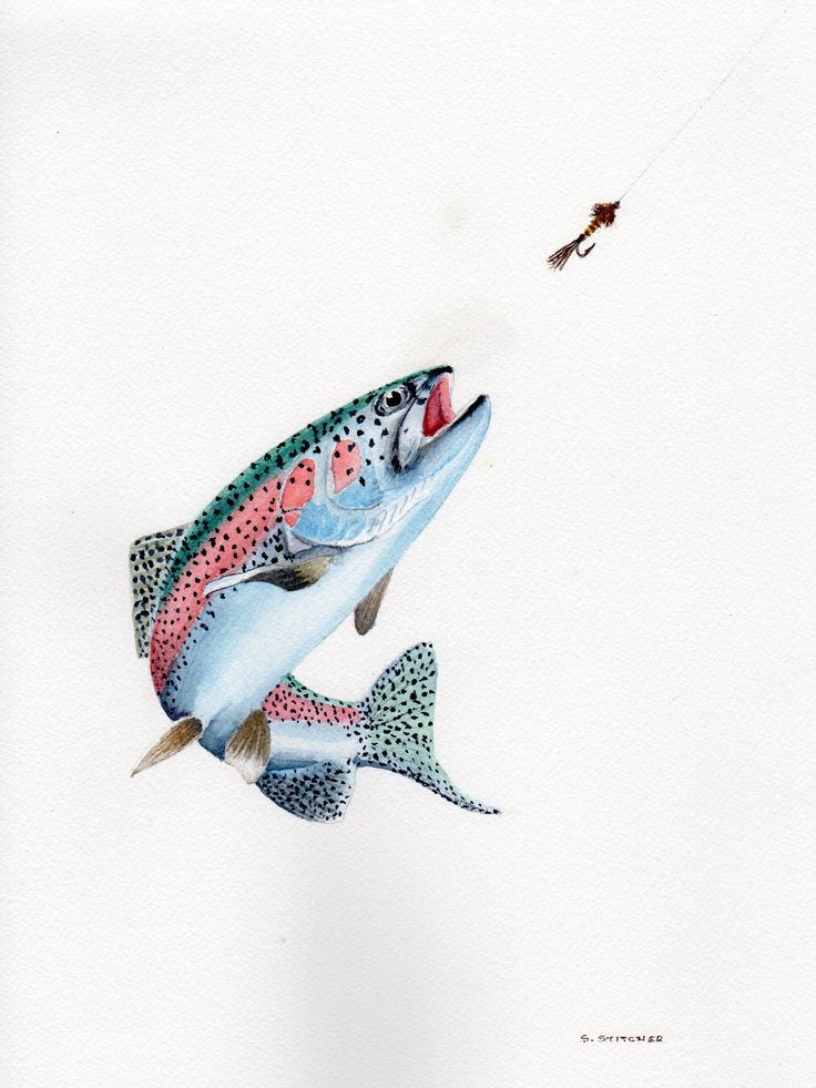 a painting of a rainbow colored fish with a fly by it's side on white paper