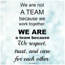 we are not a team because we work together, we are a team because we respect trust and care for each other