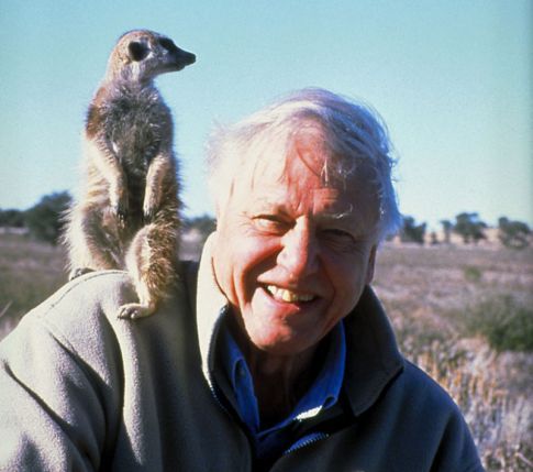 an older man holding a meerkat on his shoulders