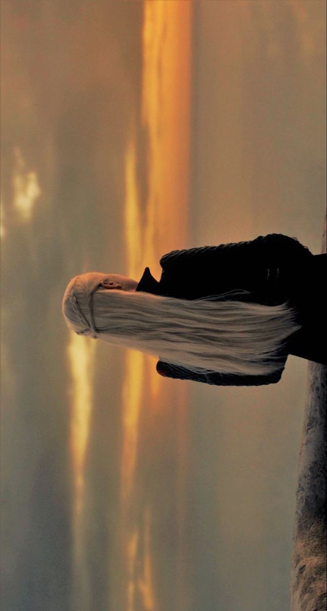 an open book sitting on top of a tree branch in front of the sun setting