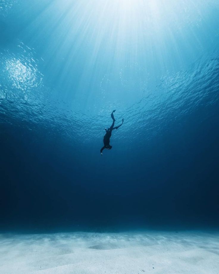 a person swimming in the ocean under water