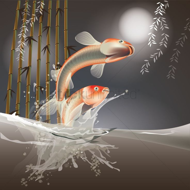 two goldfish jumping out of the water to catch some food in front of bamboo stalks