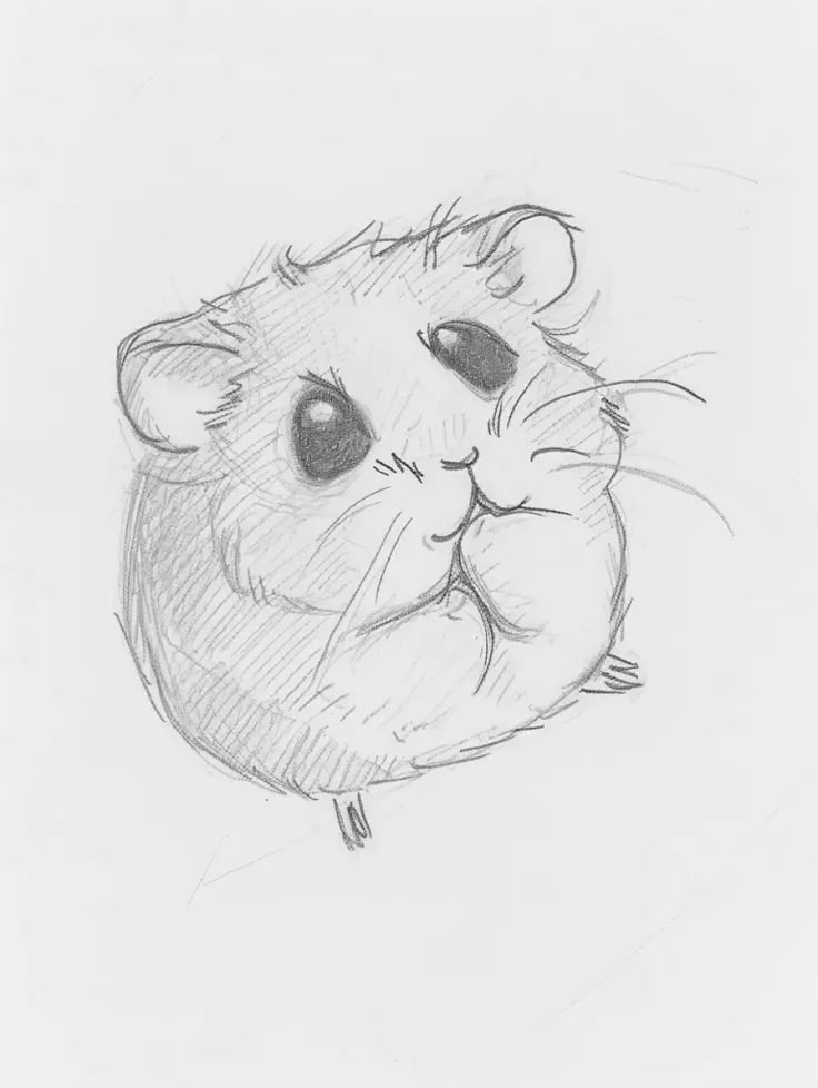 a pencil drawing of a hamster with its head resting on it's back