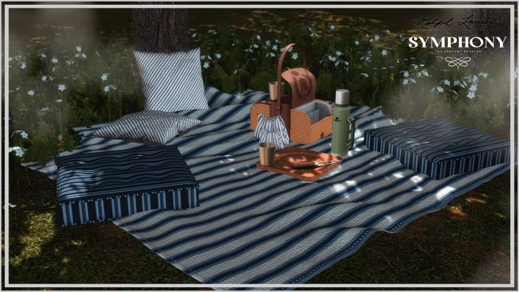 an image of a picnic set up in the grass