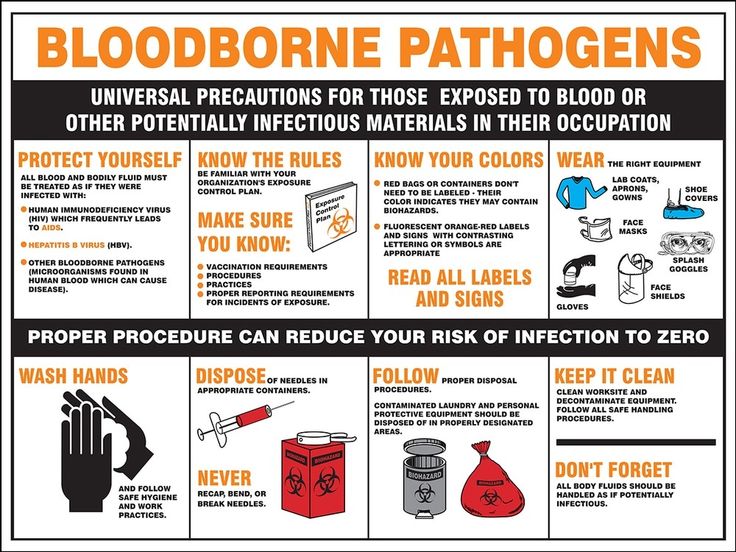 Safety Plan Template, Bloodborne Pathogens Training, Isolation Precautions, Infection Control Nursing, Flipped Learning, Nurse Education, Fire Safety Activities, Medical Assisting, Bloodborne Pathogens