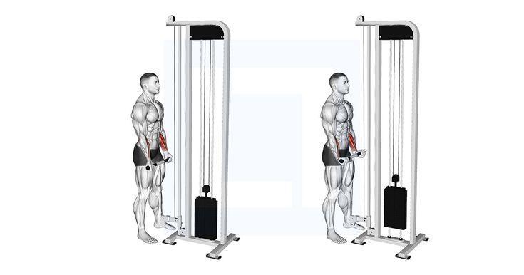 a man standing in front of a pull up machine