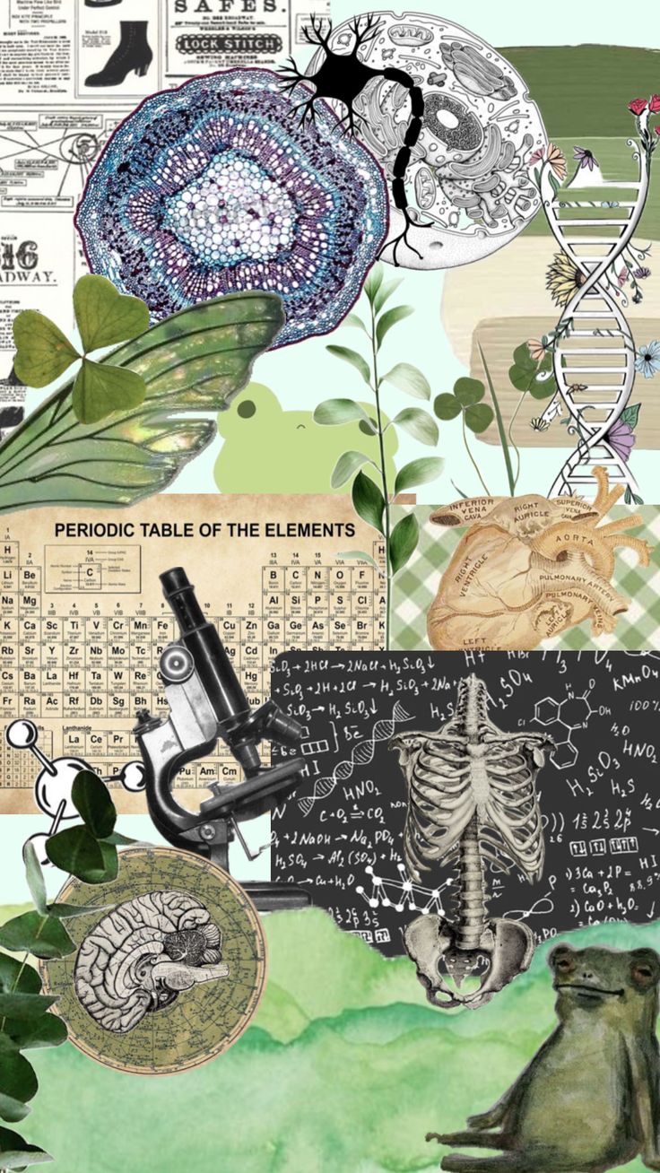 a collage of different things including plants and animals