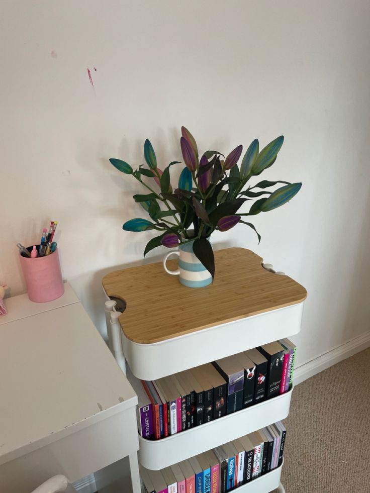 a small table with books and a plant on it in front of a white wall