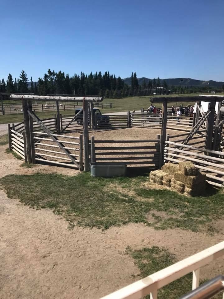 several horses are in their stalls at the ranch, with hay stacked on the ground