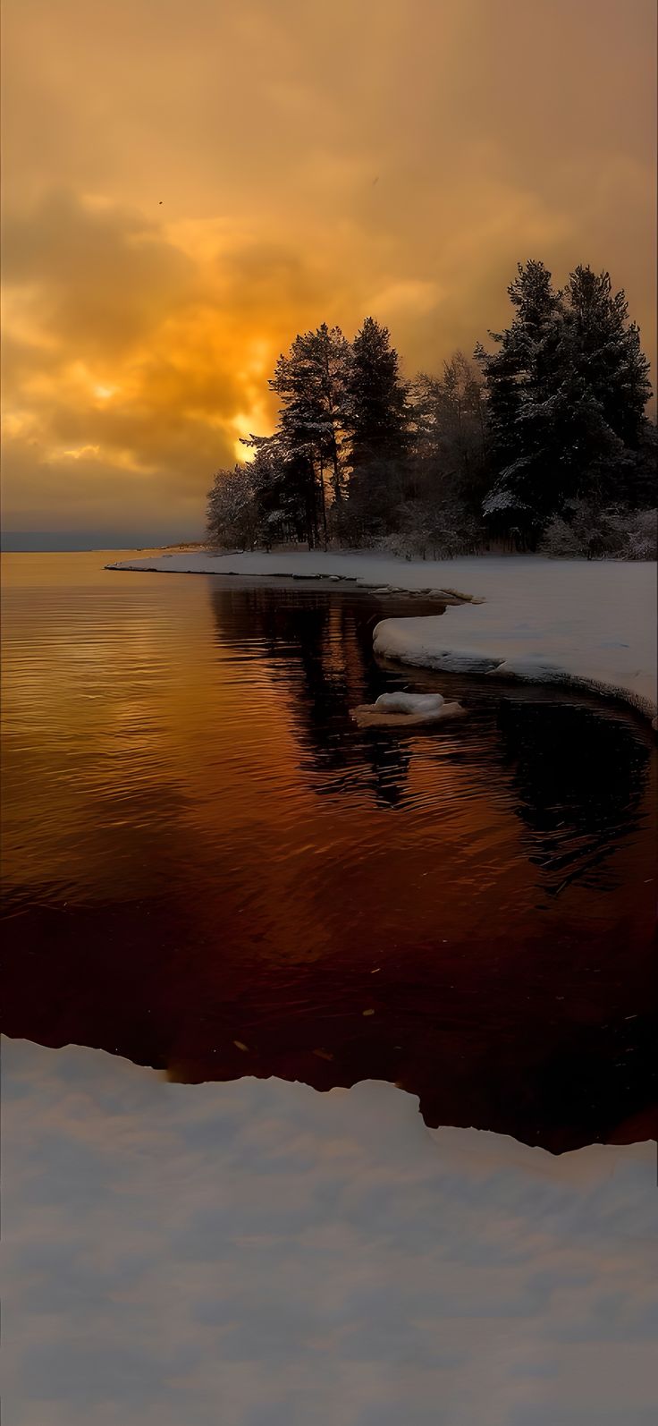 the sun is setting behind some trees in the snow and water with ice on it