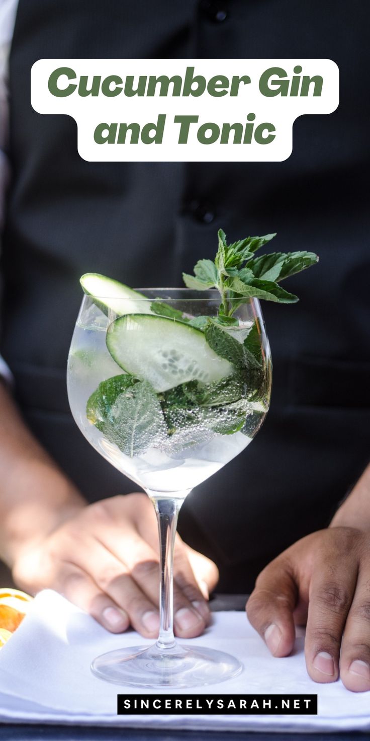 a person holding a plate with a cucumber gin and tonic drink in it