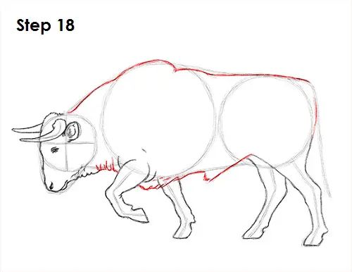 how to draw an ox step by step