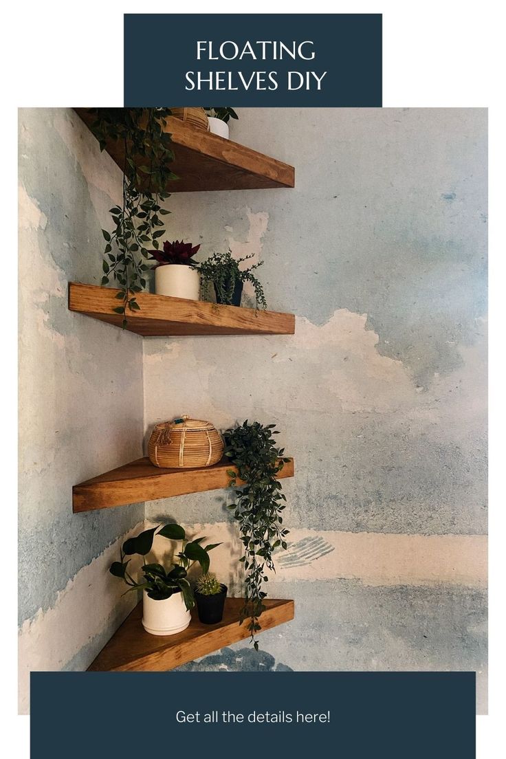 three wooden shelves with plants on them against a wall painted in blue and white clouds