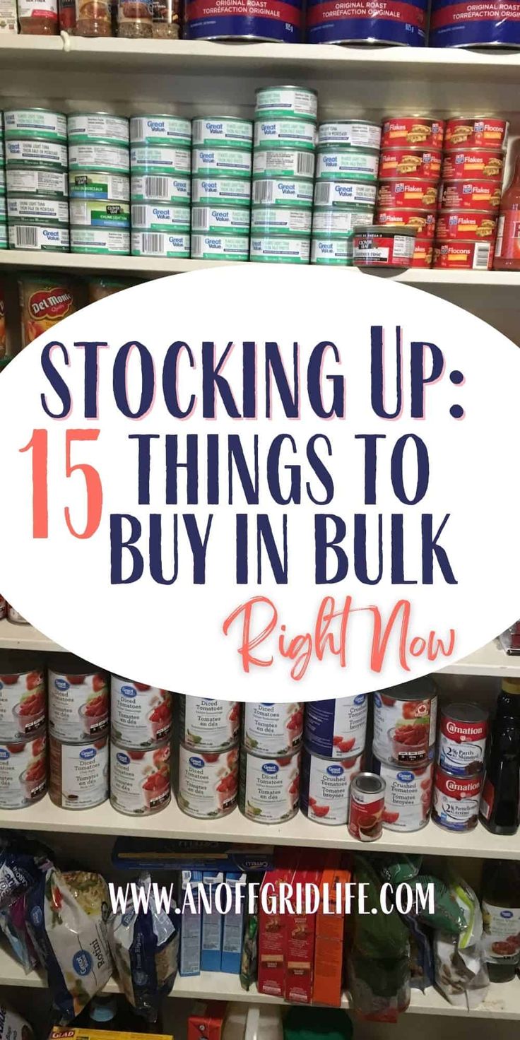 Stocking Up: What to Buy in Bulk Right Now - An Off Grid Life Things To Buy In Bulk, Preppers List, Emergency Preparedness Plan, Survival Prepping Diy, Emergency Preparedness Food Storage, Survival Food Storage, Pantry List, Prepper Food, Survival Skills Emergency Preparedness