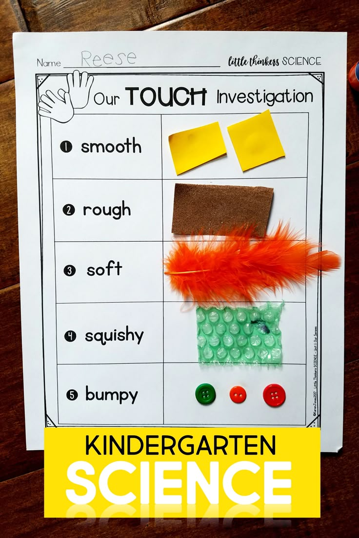 Kindergarten Science Curriculum, Kindergarten Science Lessons, Five Senses Preschool, Pre-k Science, Senses Preschool, Preschool Science Activities, Kindergarten Lesson Plans, 5 Senses, Kindergarten Lessons