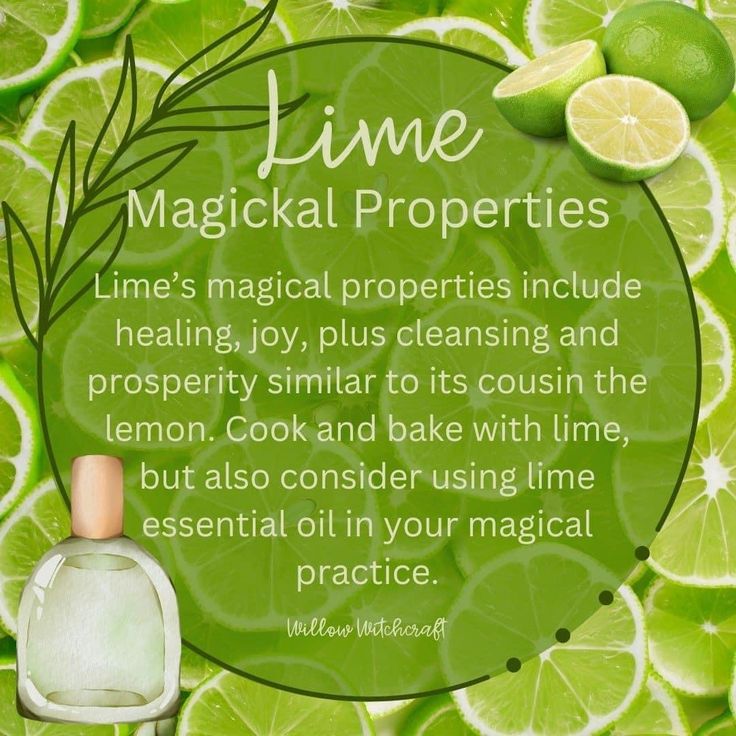 Herbs For Protection, Witchy Kitchen, Kitchen Witch Recipes, Magickal Herbs, Plant Magic, Lime Peel, Witch Garden, Lime Essential Oil, Kitchen Witchery