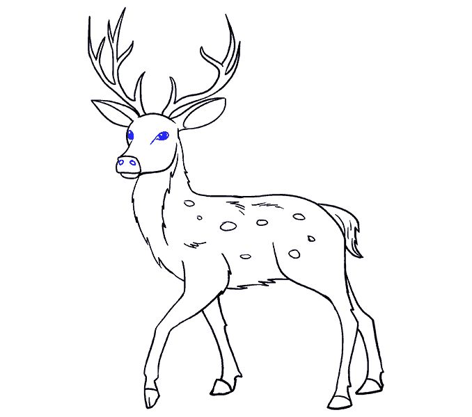 a drawing of a deer with blue eyes