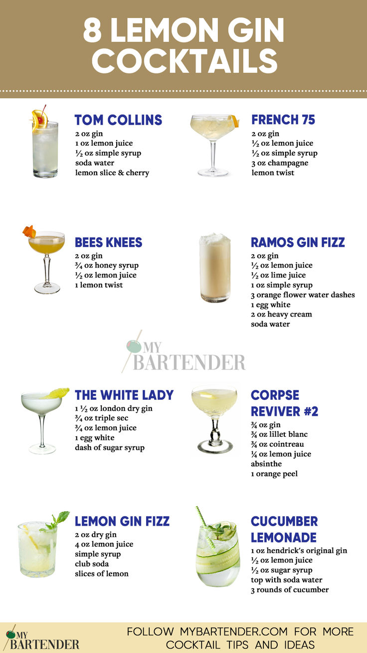 Lemon Gin Cocktails Gin Shots Recipes, Event Bartending, Lemon Cocktails, Easy Gin Cocktails, Frozen Drinks Alcohol, Best Gin Cocktails, Cheers Bar, Bartender Drinks Recipes, Gin Fizz Cocktail