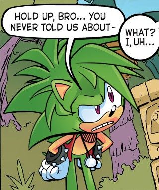 a comic strip with an image of sonic the hedgehog talking to another cartoon character and saying, hold up bro you never told us about - what?