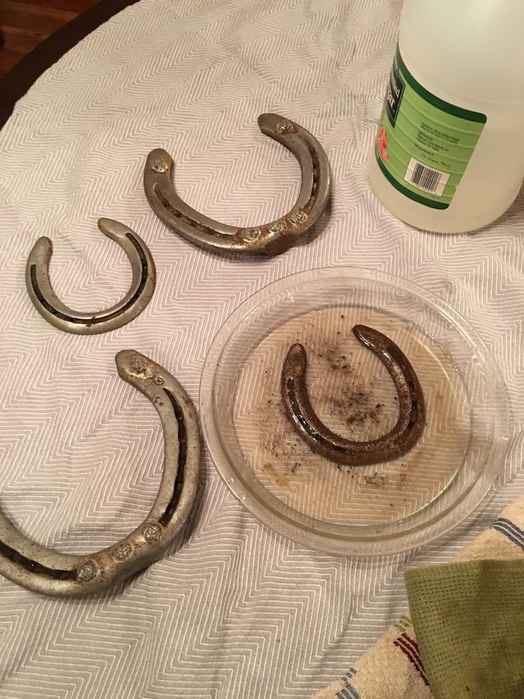 three horseshoes sitting on top of a table next to a bottle of water and a napkin