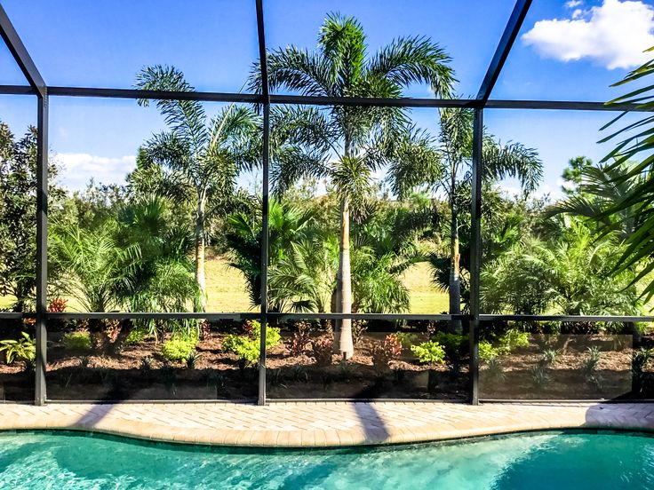 an outdoor swimming pool surrounded by palm trees and other greenery in front of a glass wall