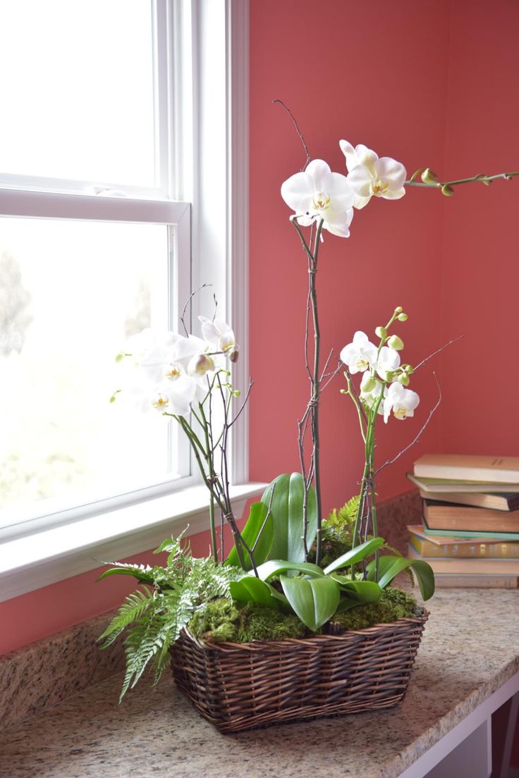 a basket filled with white flowers next to a window