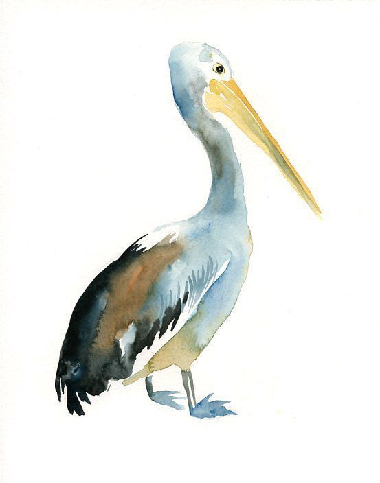 a watercolor painting of a pelican standing on one leg and looking to the side